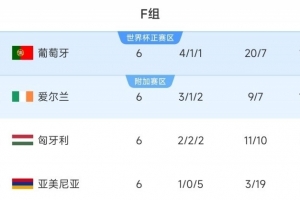 逆天改命！愛爾蘭世預賽前3輪僅拿1分，近3輪均取勝獲附加賽資格