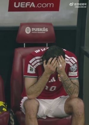 世界杯夢碎??遭愛爾蘭絕殺，匈牙利隊(duì)長索博斯洛伊賽后痛哭
