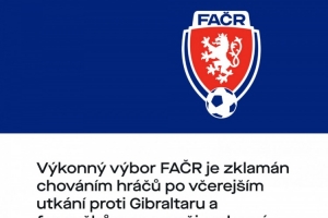 捷克足協(xié)向球迷致歉：紹切克將不再任隊(duì)長，球員們也不會獲得獎金