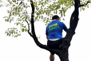 湘超聯(lián)賽推出“掛票”，球迷可坐在樹上看球但禁止“自掛東南枝”