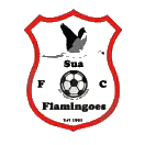 莫魯普爾流浪者隊(duì)