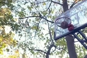 網(wǎng)紅惡搞當(dāng)年的詹韋連線：不管韋德怎么扔，詹姆斯都能拿到！